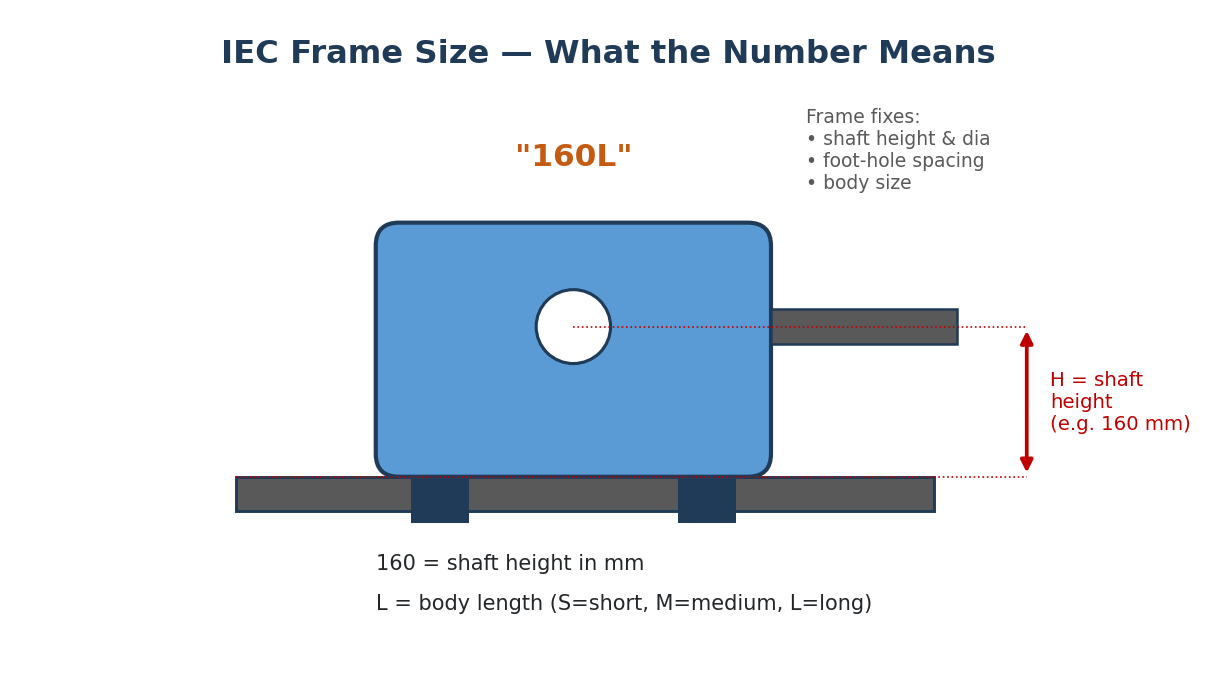 Figure 4.2 — Decoding an IEC frame number such as 160L.