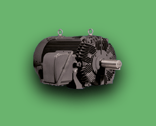Low Voltage Motors