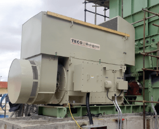 Medium & High Voltage Motors