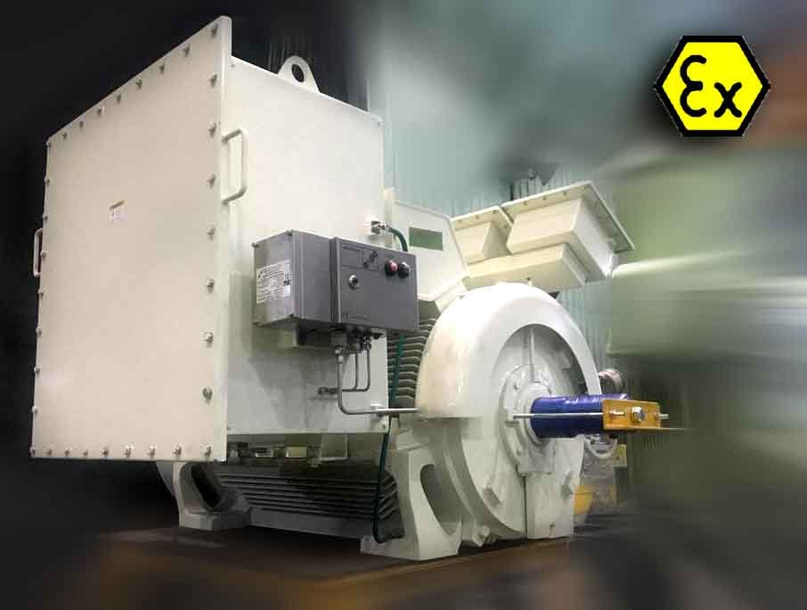 Explosion Proof Motors